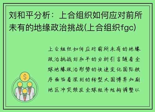 刘和平分析：上合组织如何应对前所未有的地缘政治挑战(上合组织fgc)